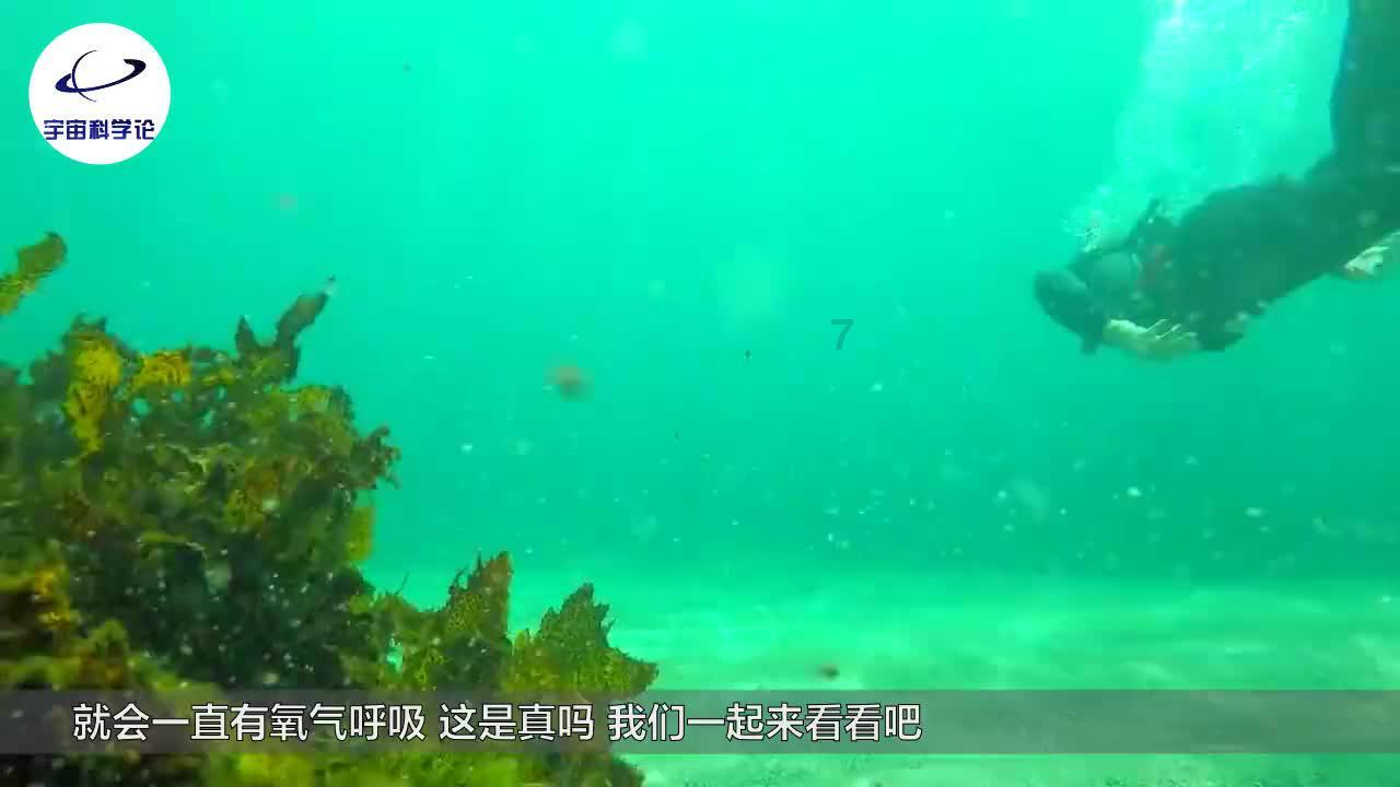 还是做坏人好一点，好多有钱的人都不怎么善良，都很现实？游戏画面